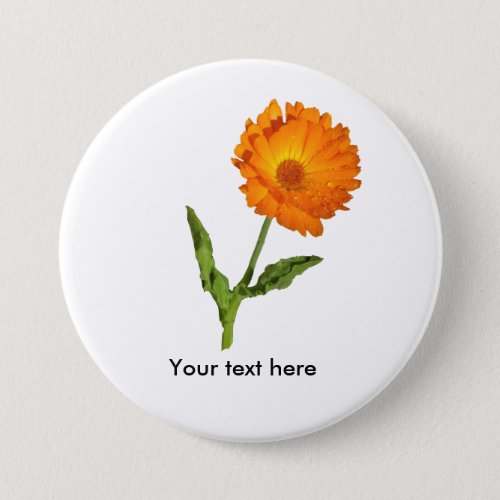 Button _ Calendula with Text