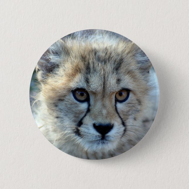 Button-cheetah-cub10x10 Button (Front)