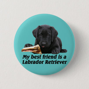 Button "Labrador retriever"