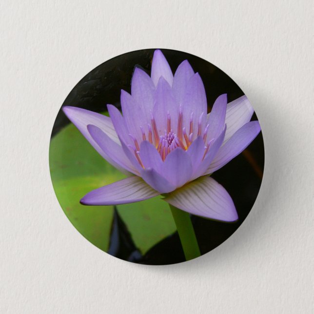 Button, Soft Lavender Water Lily  300 Button (Front)