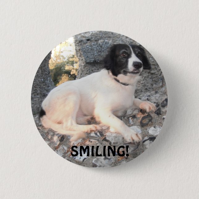 Button Sprollie Visiting Castle Smiling (Front)