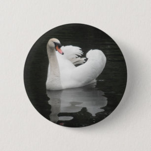Button Swan Swimming