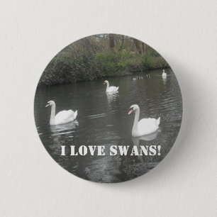 Button Swans Swimming, I Love Swans