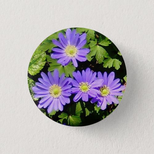Button with Spring Anemones