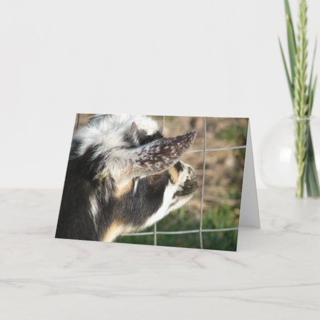 Buttons Card (Front)