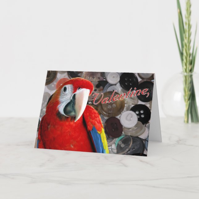 Buttons Holiday Card (Front)