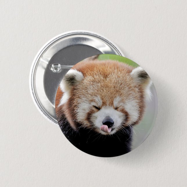 Buttons red panda. Panda roux. (Front & Back)