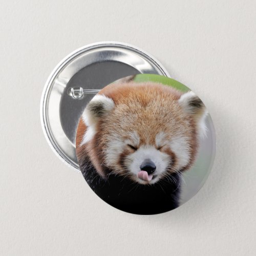 Buttons red panda Panda roux