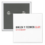 Bwlch Y Fedwen  Buttons (square)