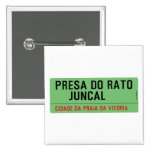 presa do rato     juncal  Buttons (square)