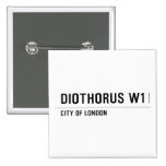 diothorus  Buttons (square)