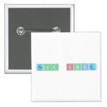 Ceva Swine  Buttons (square)