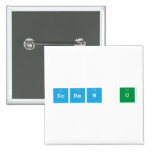 screw u  Buttons (square)