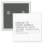 Canyon of chuck norris INFinity 2018 (D'oh)  Buttons (square)