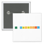 La Resistencia  Buttons (square)