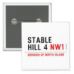 stable hill 4  Buttons (square)