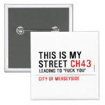 This is my  street  Buttons (square)