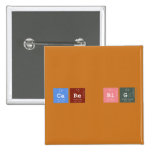 CARE BIG  Buttons (square)