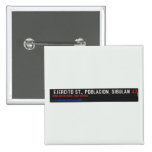  Ejercito st., poblacion, sibulan  Buttons (square)