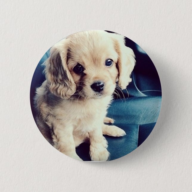 Buttonz Up! Button (Front)