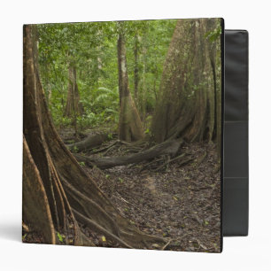 Buttress Roots. Rainforest, Mapari Rupununi, 2 Binder