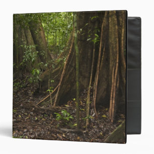 Buttress Roots. Rainforest, Mapari Rupununi, 3 Ring Binder