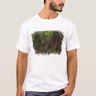 Buttress Roots. Rainforest, Mapari Rupununi, T-Shirt