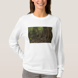 Buttress Roots. Rainforest, Mapari Rupununi, T-Shirt