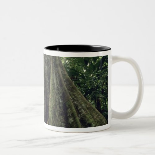 Buttressed tree in rainforest Corcovado Two_Tone Coffee Mug