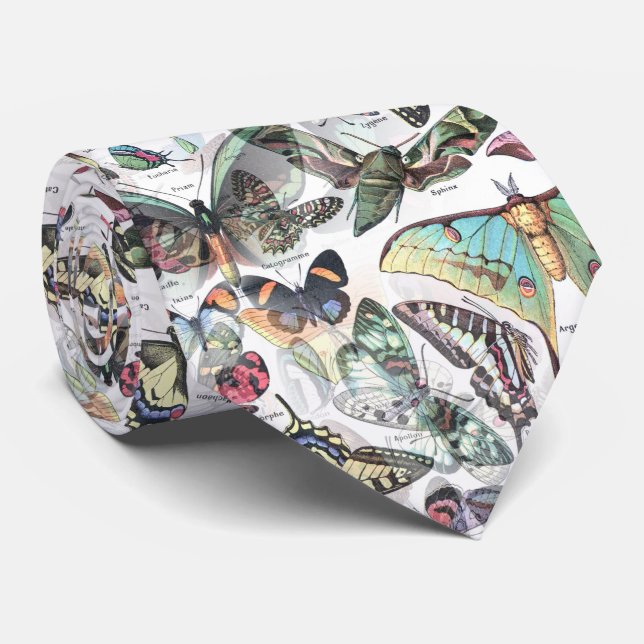 buttterflies summer, nature neck tie (Rolled)