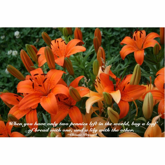 Buy a Lily quote Orange Lily Photo Sculpture (Front)