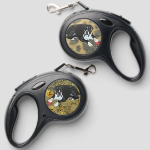 Buy the Dog have his and her favorite leashes! Retractable Pet Leash