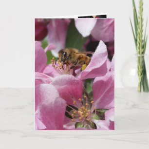 Buzy Bee Belated Birthday or Occation Card