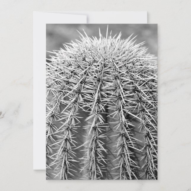 Buzz Cut Cactus (AZ Sonoran Desert) Invite (Front)