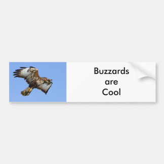 Buzzard 1 bumper sticker