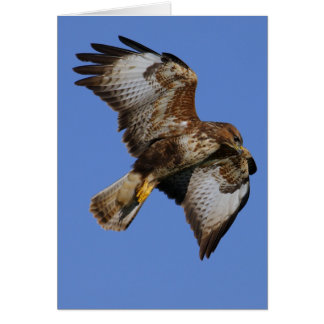 Buzzard 2 cards