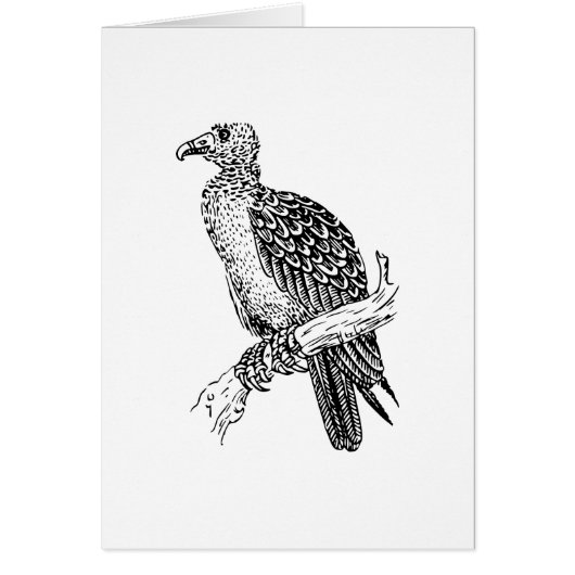 Buzzard Bird Art Cards (Front)