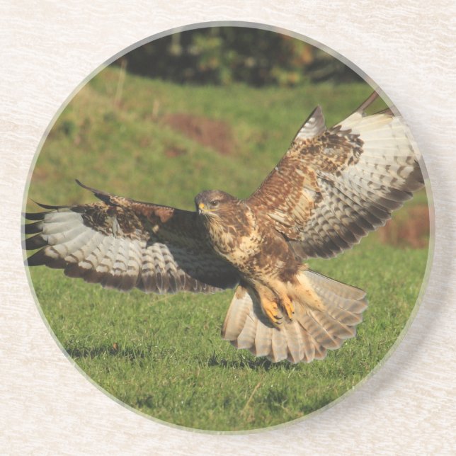 Buzzard Coaster (Front)