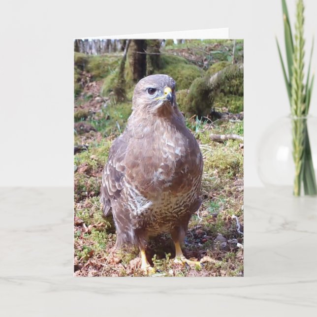 Buzzard Folded Vertical Greeting Card Add Own Text (Front)