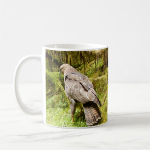 Buzzard Searching Meadow Insects British Wildlife  Coffee Mug