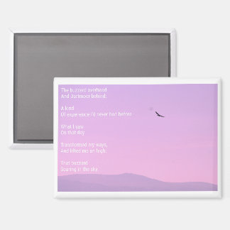 Buzzard soaring card magnet