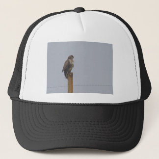 Buzzard Trucker Hat
