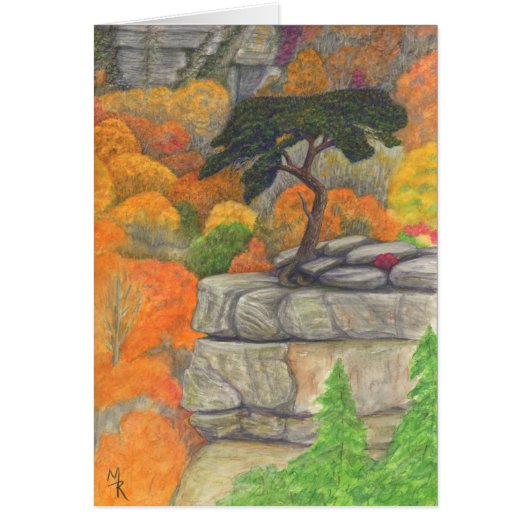 Buzzard's Roost - Fall Creek Falls State Park Cards (Front)