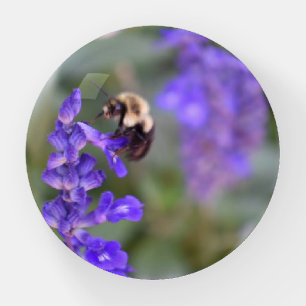 Buzzing Bee Purple Garden Flowers Photography Paperweight