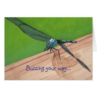 Buzzing your way...dragonfly, cards