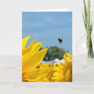 BuZZy Bee Photo Blank Greeting Card/Note Card 