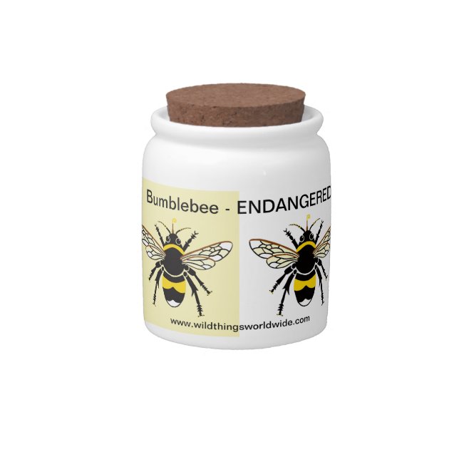 Buzzy Bumble BEE- Wildlife - Nature -Candy Jar (Front)