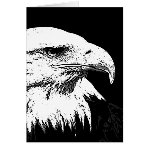 BW American Bald Eagle