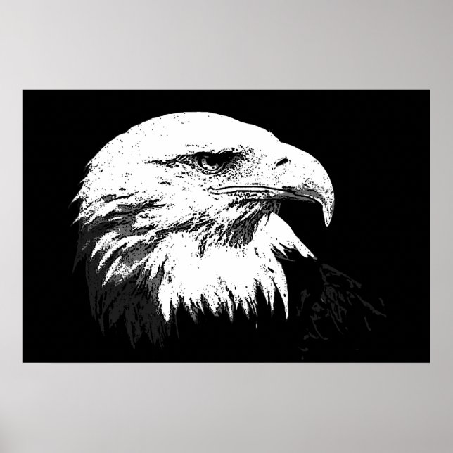 BW American Bald Eagle Poster Print Eagles Posters (Front)