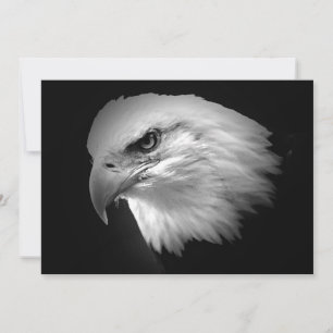 BW Bald American Eagle Invitation